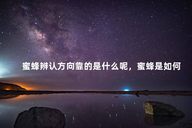 蜜蜂辨认方向靠的是什么呢，蜜蜂是如何认路的