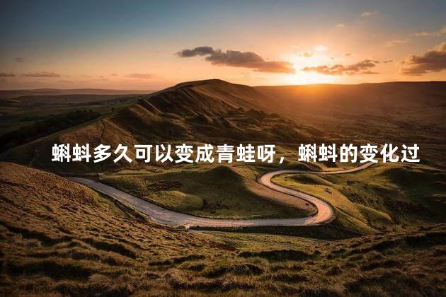 蝌蚪多久可以变成青蛙呀，蝌蚪的变化过程