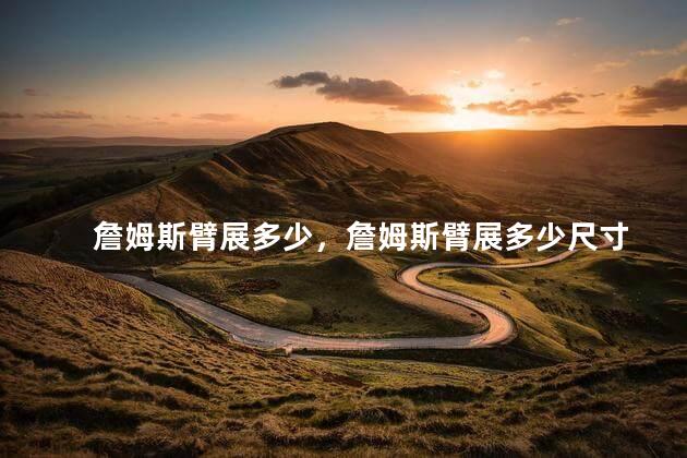 詹姆斯臂展多少，詹姆斯臂展多少尺寸