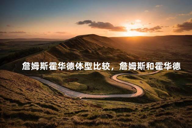 詹姆斯霍华德体型比较，詹姆斯和霍华德谁更强壮