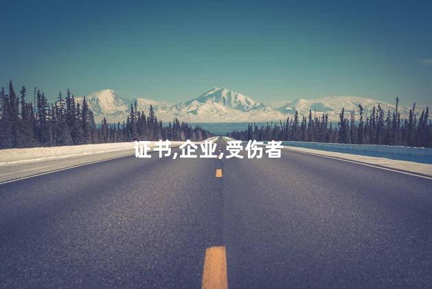 没有公司怎么考探伤证 探伤职业资格证书与探伤证