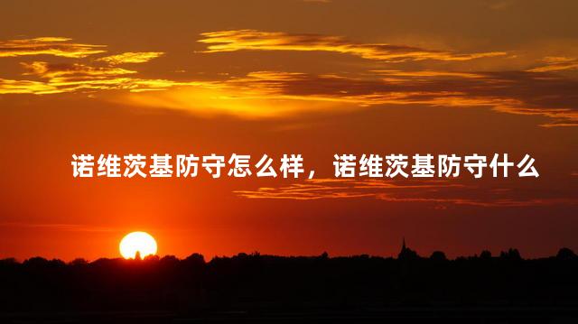 诺维茨基防守怎么样，诺维茨基防守什么水平