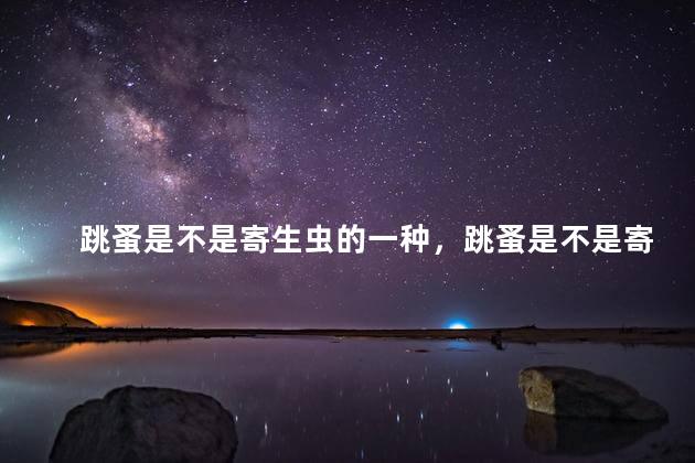 跳蚤是不是寄生虫的一种，跳蚤是不是寄生虫