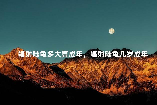 辐射陆龟多大算成年，辐射陆龟几岁成年