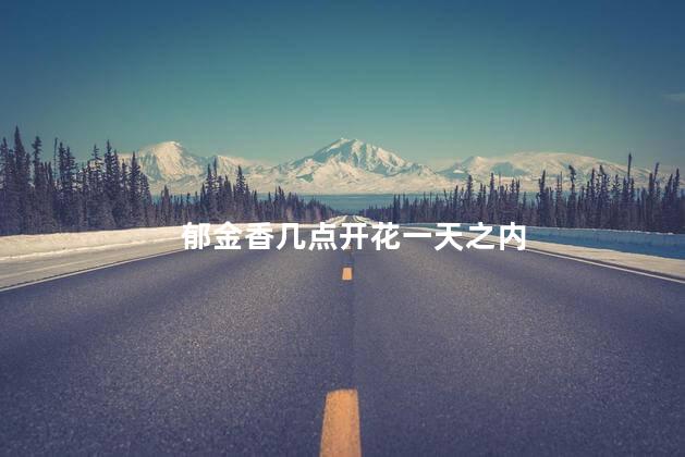 郁金香几点开花一天之内，郁金香什么时候开