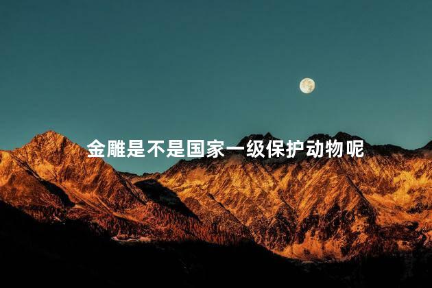 金雕是不是国家一级保护动物呢，金雕属于国家一级保护动物吗