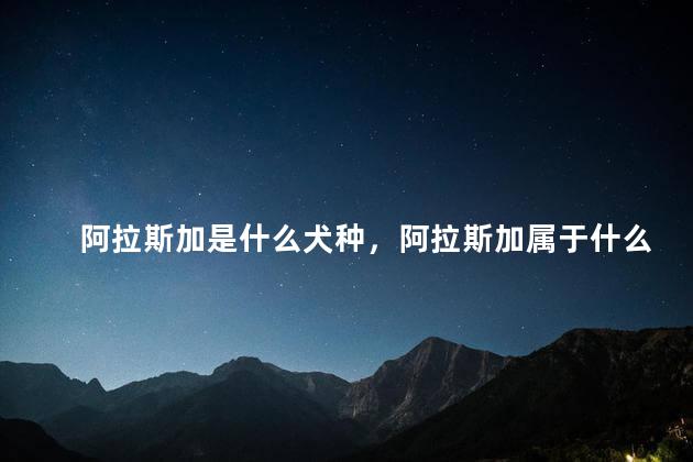 阿拉斯加是什么犬种，阿拉斯加属于什么犬