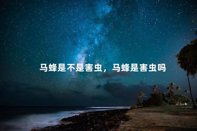 马蜂是不是害虫，马蜂是害虫吗