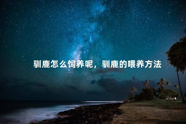 驯鹿怎么饲养呢，驯鹿的喂养方法