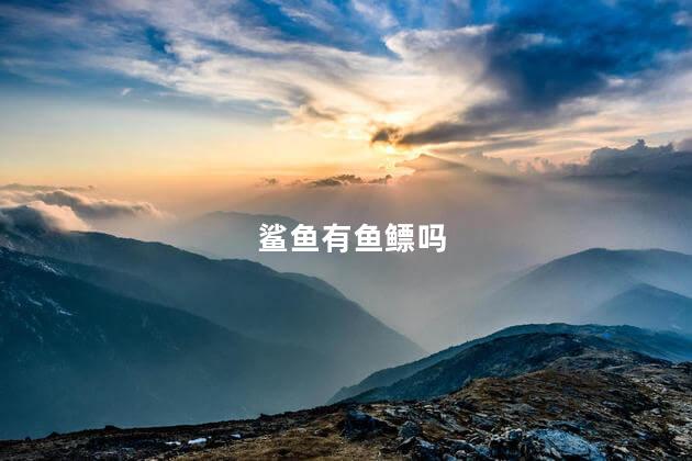 鲨鱼有鱼鳔吗，鲨鱼有几个鱼鳔