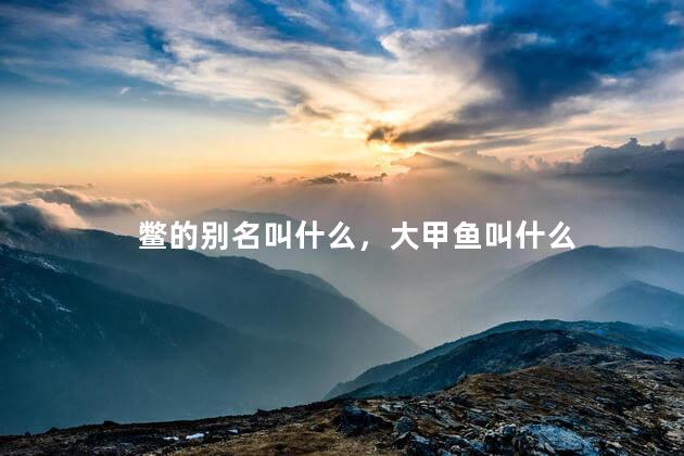 鳖的别名叫什么，大甲鱼叫什么